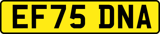 EF75DNA