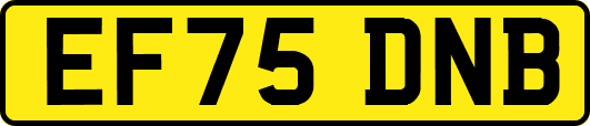 EF75DNB