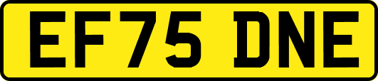 EF75DNE
