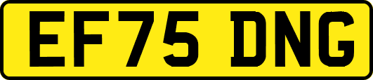 EF75DNG