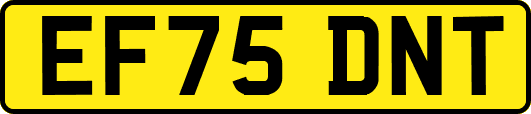 EF75DNT