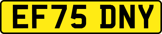 EF75DNY