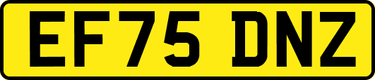EF75DNZ