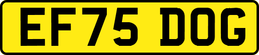 EF75DOG