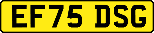 EF75DSG