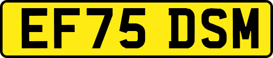 EF75DSM