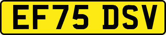 EF75DSV