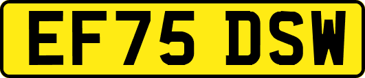 EF75DSW