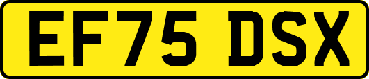 EF75DSX