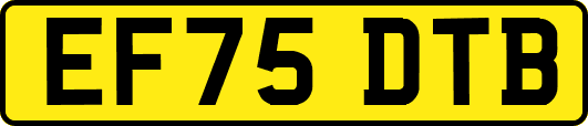 EF75DTB