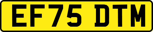EF75DTM