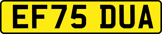 EF75DUA