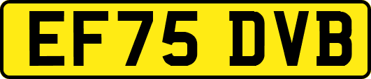 EF75DVB