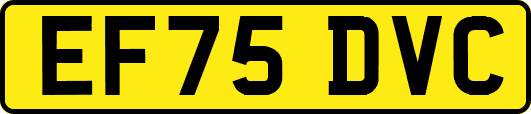 EF75DVC