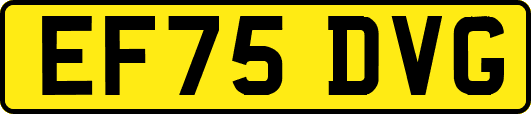 EF75DVG