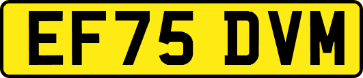 EF75DVM
