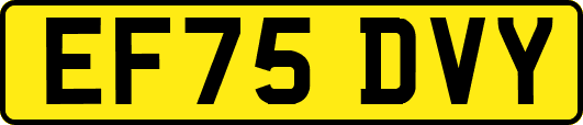 EF75DVY