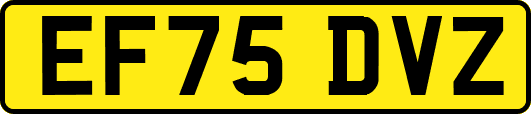 EF75DVZ