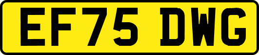 EF75DWG