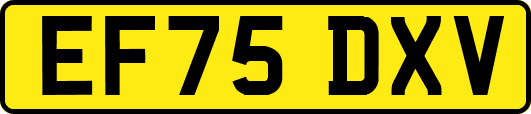 EF75DXV
