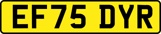 EF75DYR