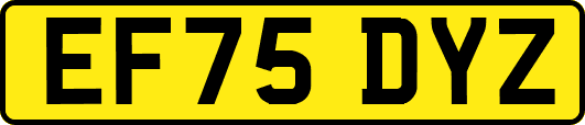 EF75DYZ
