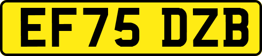 EF75DZB