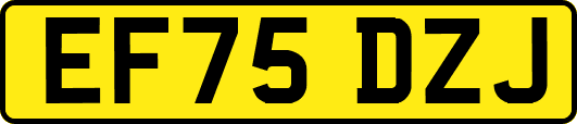 EF75DZJ