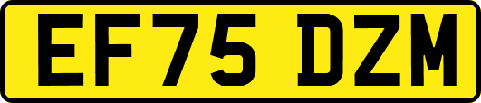 EF75DZM