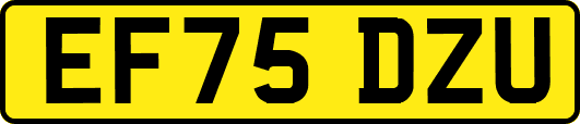 EF75DZU
