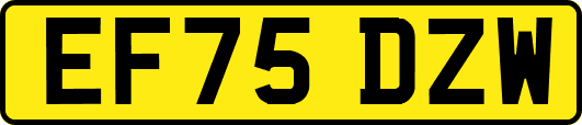 EF75DZW
