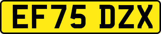 EF75DZX