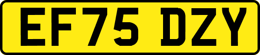 EF75DZY