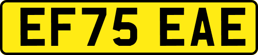 EF75EAE