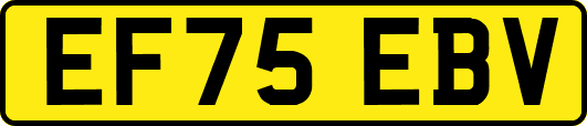 EF75EBV