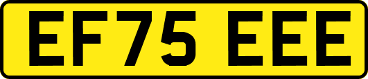 EF75EEE
