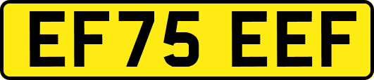 EF75EEF