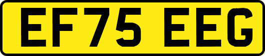 EF75EEG