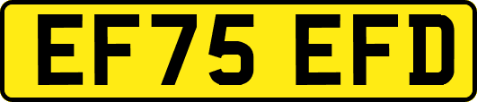 EF75EFD