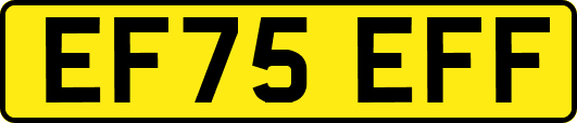 EF75EFF