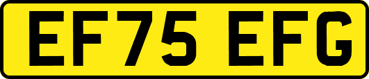 EF75EFG
