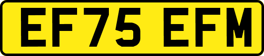 EF75EFM