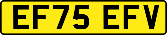 EF75EFV