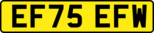 EF75EFW