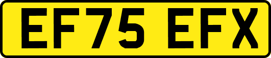 EF75EFX