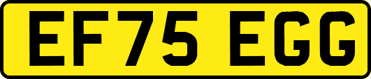 EF75EGG