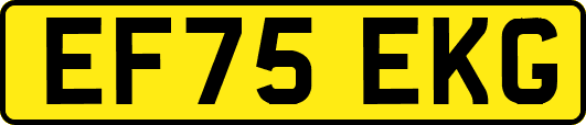 EF75EKG