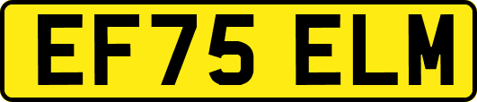 EF75ELM