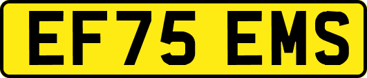 EF75EMS