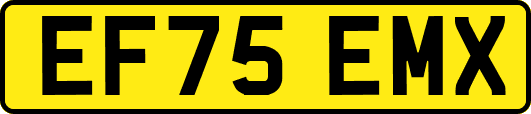 EF75EMX